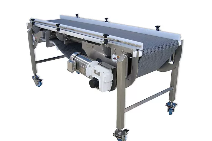 reagl conveyor