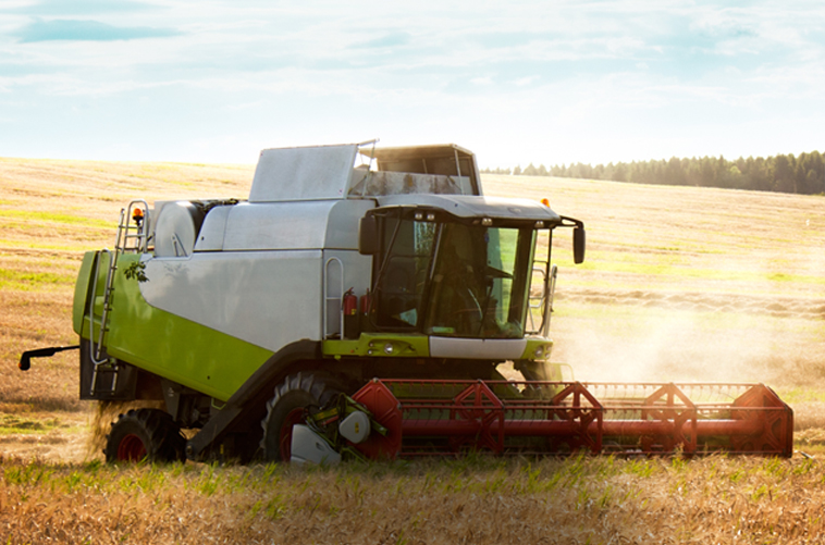 agriculture