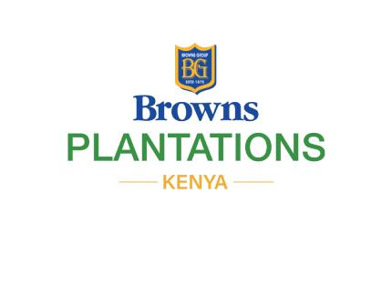 browns browns